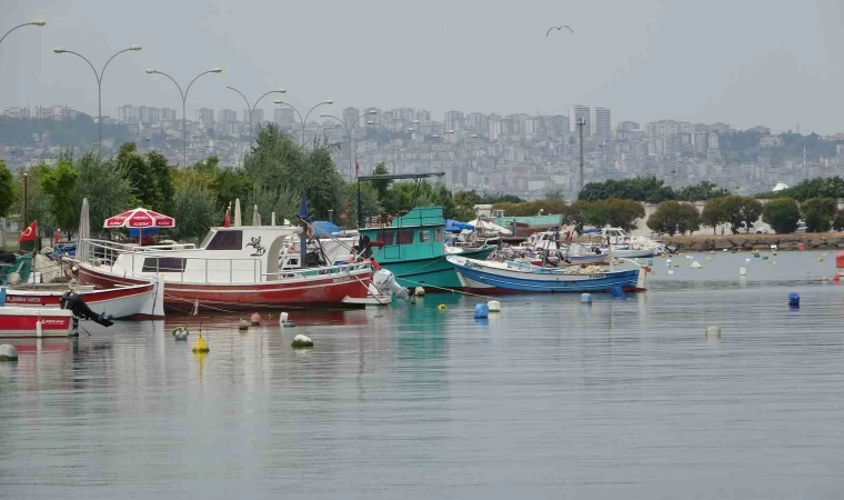 Boy uzunluğuna göre destek ödemesi yapılacak