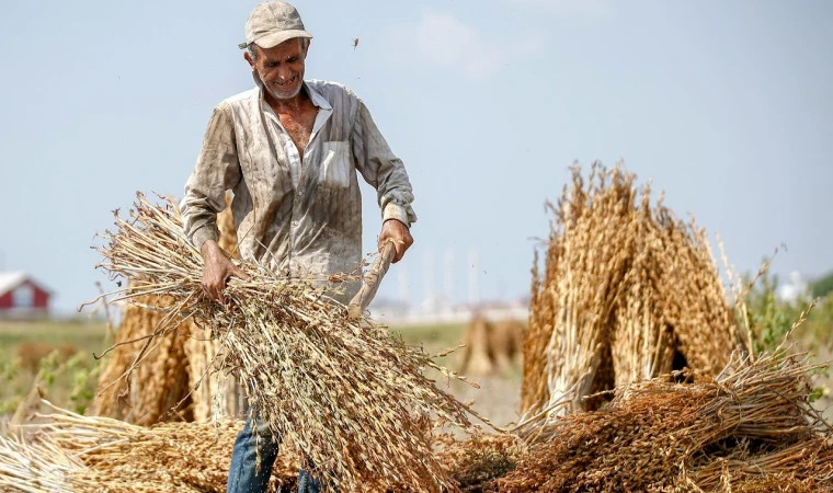 Adanalı çiftçiler planlı üretime geçti