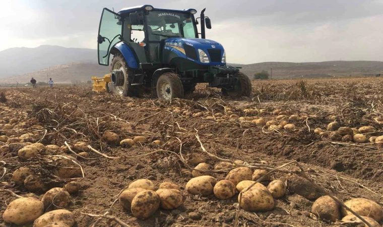 Patates fiyatlarında artış yok