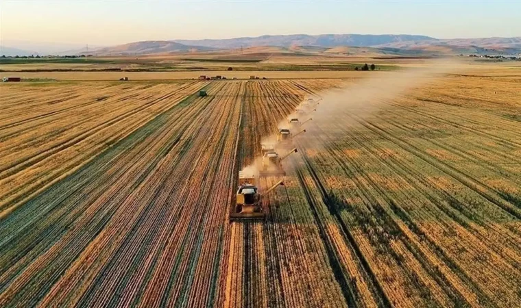 Planlı üretimle üretici de ülke de kazanacak