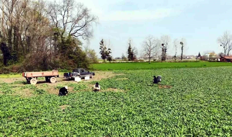 İistihdam azaldı, işsizlik arttı