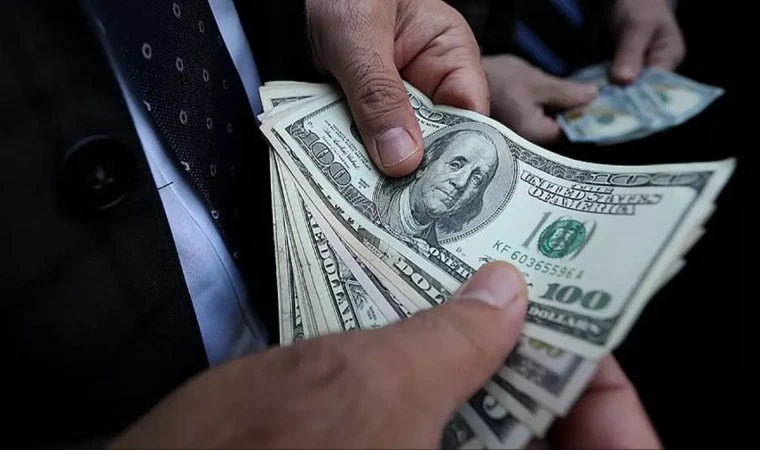 Ocak Ayında Türkiye’ye 910 Milyon Dolar Girdi