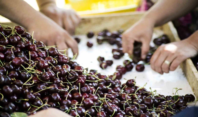 Türkiye, meyve üretiminde dünyada 4’üncü sırada