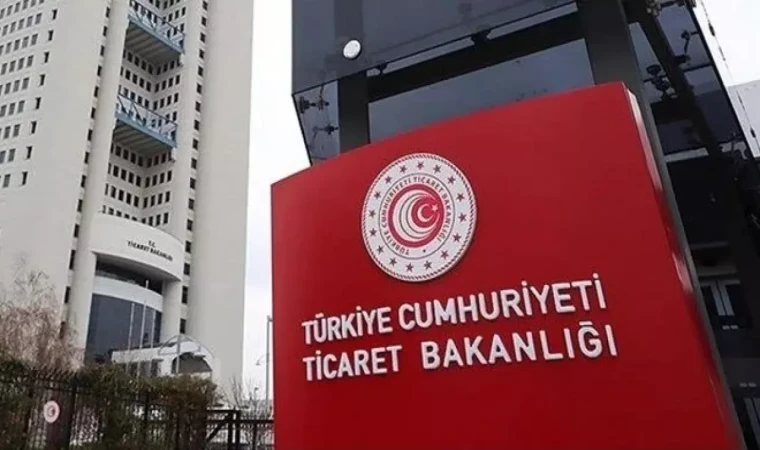 Ticaret Bakanlığı E-Ticaretin Görünümü Raporunu yayınladı