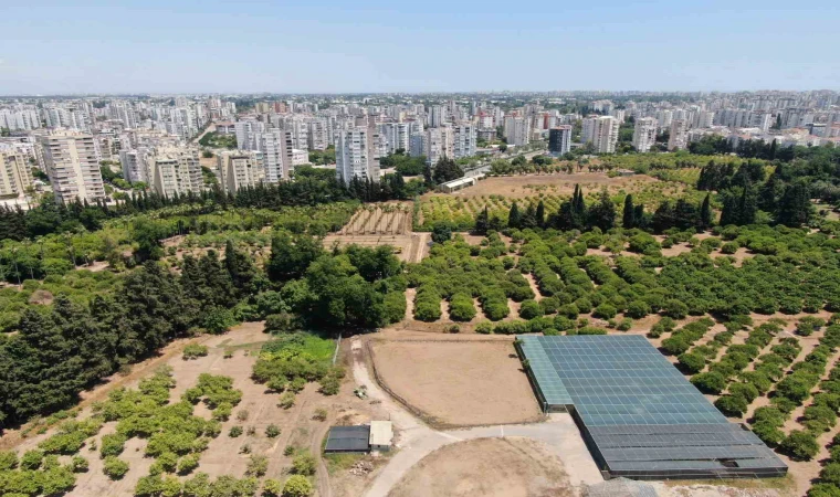 Antalya futbol sahası büyüklüğünde tarım alanını kaybetti