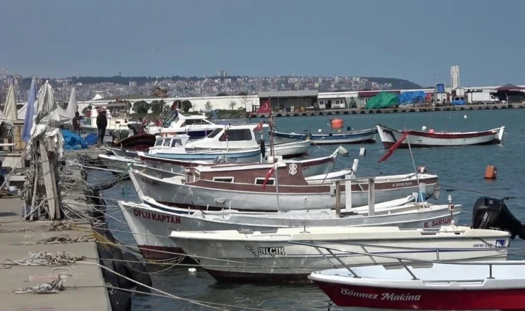 Hayvansal ürün ihracatından milyonlarca döviz geliri