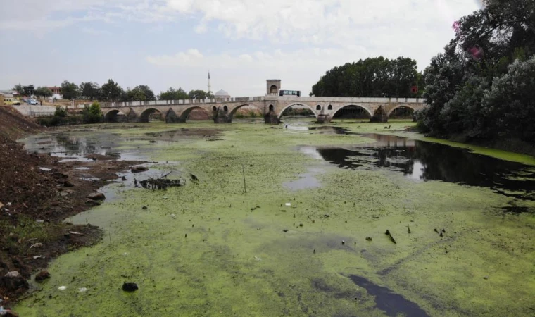 Su akışı durdu, Tunca Nehri yeşile döndü