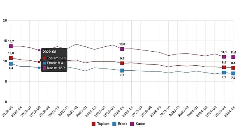 İşsizlik oranı %8,4 seviyesinde gerçekleşti