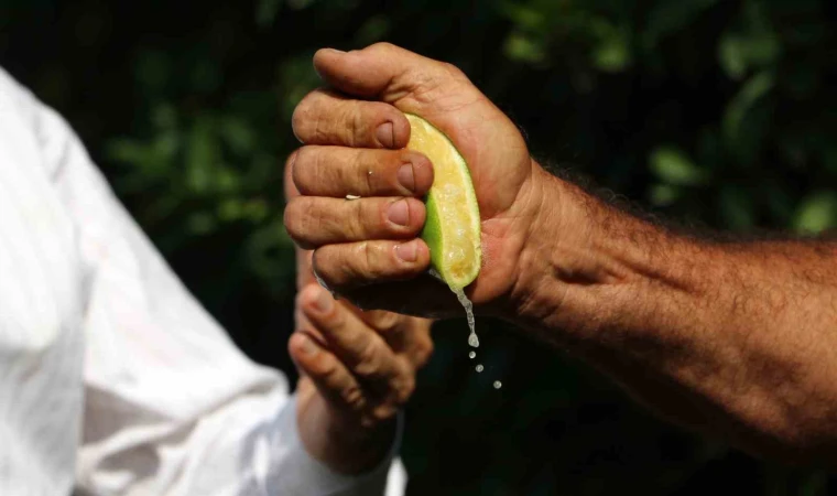 En çok pahalanan ürün limon oldu