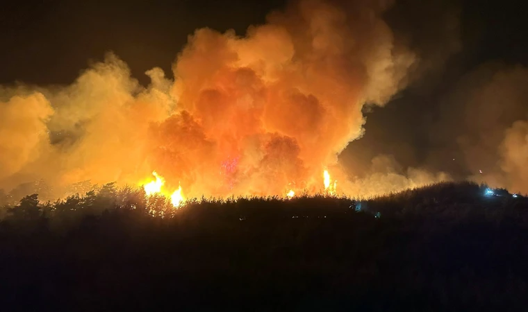 Milas’taki yangın ilerliyor, bir mahalle boşaltılacak