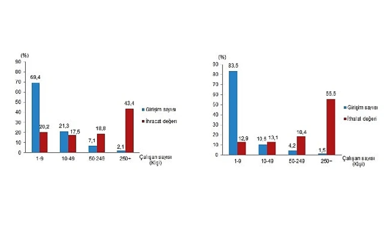 İhracatın %43,4’ünü, ithalatın ise %55,5’ini büyük ölçekli girişimler gerçekleştirdi