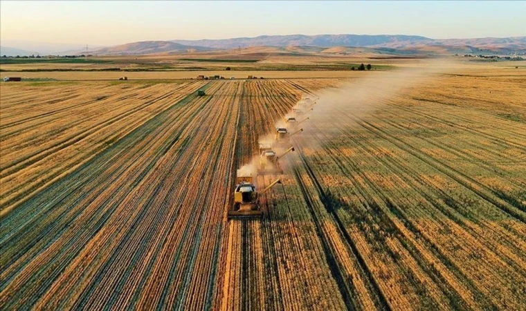 ’Tarımsal Destek’ler üretimi güvence altına alıyor