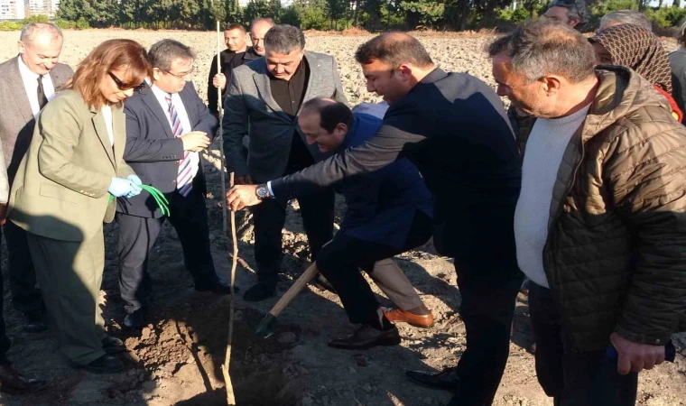 Birinci derece tarım arazisi olmayan alanlarda ’kestane’ yetişecek