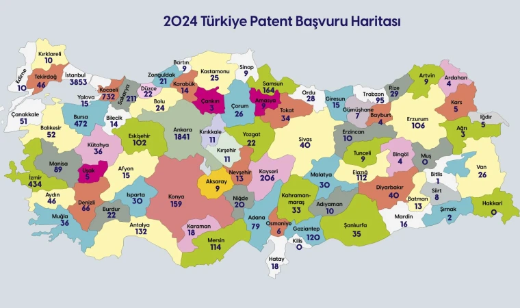 Türkiye’nin 2024 yılı yenilikçilik karnesi