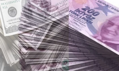 Türkiye'de 2024 yılı için ABD doları ve ekonomi tahminleri