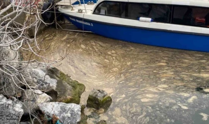 Kadıköy’de deniz yüzeyinde müsilaj tehdidi